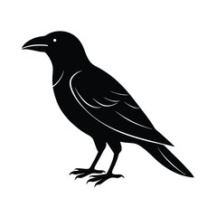 Fototapeta premium crow silhouette vector sleek and bold lines isol