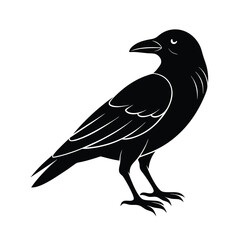 Fototapeta premium crow silhouette vector sleek and bold lines isol