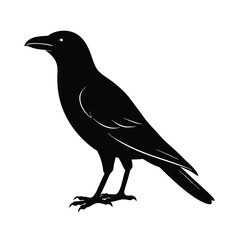 Fototapeta premium crow silhouette vector sleek and bold lines isol