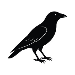 Obraz premium crow silhouette vector sleek and bold lines isol