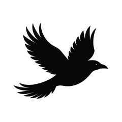 Fototapeta premium Flying Crow Silhouette Vector Sleek Design with F13