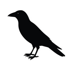 Fototapeta premium Minimalistic Crow Silhouette Vector Simple and Powerful2