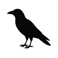 Fototapeta premium Minimalistic Crow Silhouette Vector Simple and Powerful4