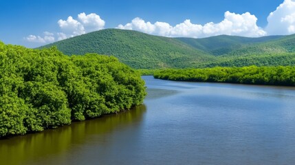 Fototapeta premium Winding River through Lush Green Valley, tranquil waters reflecting the sky, vibrant landscape inviting exploration and serenity