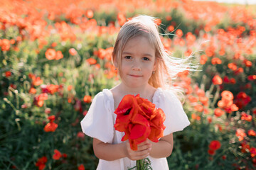 Little child girl in flowered poppy field. Child in white dress with red flowers in summer
