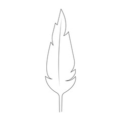 Minimalist Line Art Feather