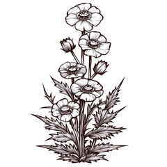 Obraz premium Detailed black and white illustration of wildflower bouquet features delicate petals and intricate leaves, capturing natural beauty and elegance of flowers