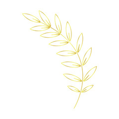 vector illustration of gold leaves
