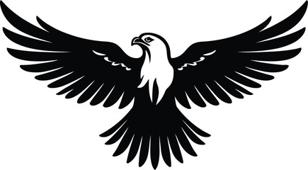 Fototapeta premium eagle stretches its wings