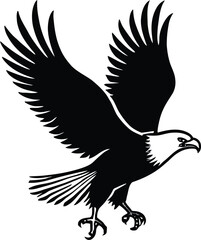 Obraz premium eagle flying silhouette