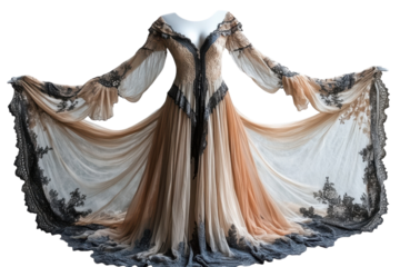 Elegant sheer gown blush taupe hues intricate black lace detailing flowing silhouette studio shot