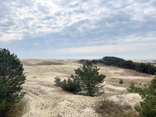 The Serene Sand Dunes and the Pine Landscape Beautifully Stretch Out Under a Cloudy Sky