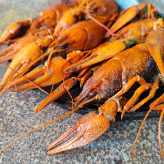 Appetizing Cooked Crayfish Display
Concept of seafood, culinary delight, presentation