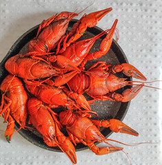 Appetizing Cooked Crayfish Display
Concept of seafood, culinary delight, presentation