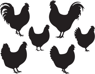 Chicken set vector silhouette illustration design