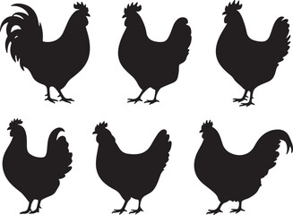 Chicken set vector silhouette illustration design