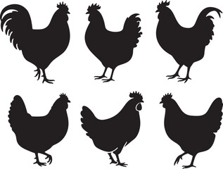 Chicken set vector silhouette illustration design