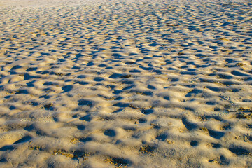 The wavy surface of the seabed after low tide.