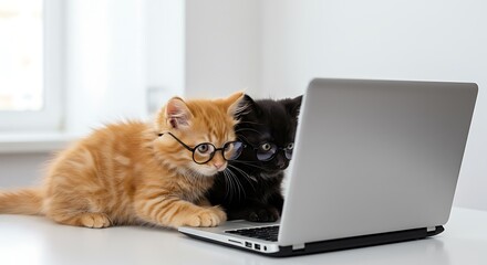 Gatinhos com óculos e notebook em mesa de escritório