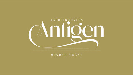 Lettering Minimalist Fashion. Elegant alphabet letters serif font and number. Typography fonts regular uppercase, lowercase.