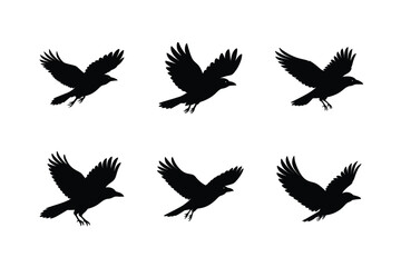 Fototapeta premium Elegant Flying Bird Silhouette Vector Illustration