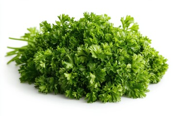 Fresh Parsley Bunch vibrant green herb isolated on white background healthy cooking ingredient