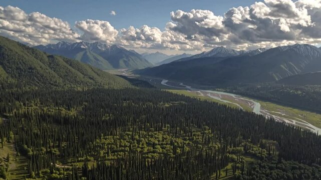 Beautiful valley Pahalgam in Kashmir, india, landscape with trees and river. Aerial view of drone