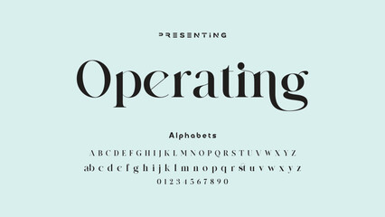 Elegant Calligraphy Script Font. Perfect for Weddings, Invitations and Luxury Branding.