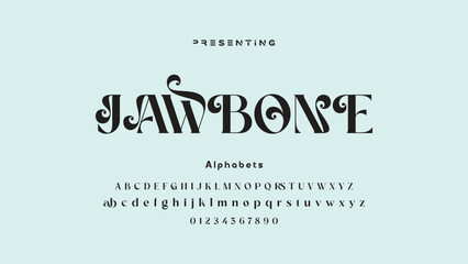 Elegant Calligraphy Script Font. Perfect for Weddings, Invitations and Luxury Branding.