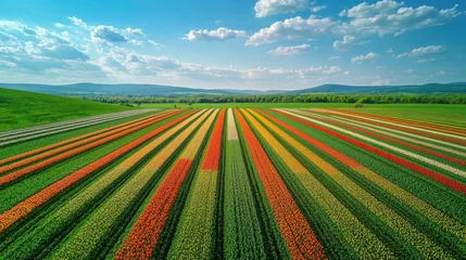 Vibrant agricultural landscape with colorful flower and crop fields stretching into the horizon under a bright sky du daytime