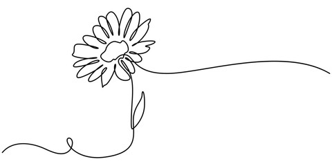 Daisy flower in continuous line art drawing style. Chamomile One line drawing art. Minimalist black linear sketch. Vector illustration, Daisy Continuous Line Icon, Daisy continuous line drawing.