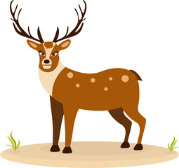 Fototapeta premium Cute zoo. Vector animals. A serious deer with antlers. Vector collection of animals. Isolated