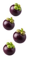 Falling mangosteen isolated on transparent background