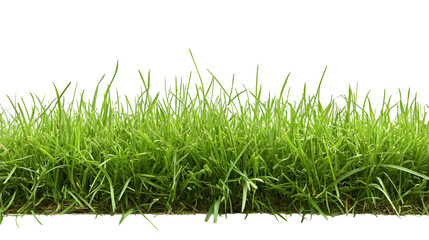 Fototapeta premium Fresh Green Grass Isolated on Transparent Background for Professional Designs