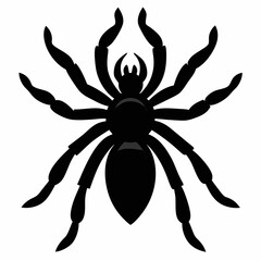 Bold Tarantula Silhouette Vector Art