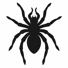Bold Tarantula Silhouette Vector Art