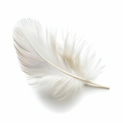 Obraz premium Elegant White Feather Isolated on a Clean Background for Design Use