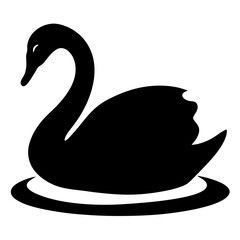 Elegant black swan in water, a graceful silhouette against white background