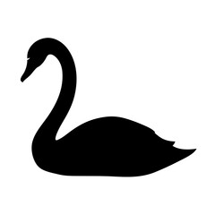 Elegant black swan silhouette isolated against white background, a beautiful design