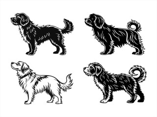 havanese sihouette black vector bundle