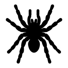 Black silhouette of a spider with eight legs isolated on white