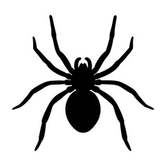 A striking black silhouette of a spider on a stark white background