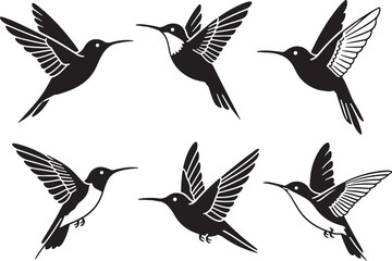 Set of humming bird silhouette vector illustration