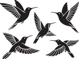 Set of humming bird silhouette vector illustration