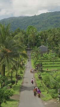 Carretera recta entre palmeras en un d&iacute;a soleado, Bali, Indonesia