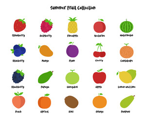 Summer fruit collection set isolated on white background with simple and flat design