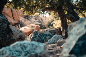 Obraz premium Rocky landscape with a shady tree
