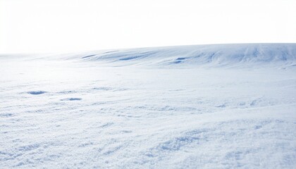 Obraz premium winter landscape with snow