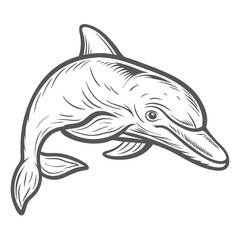 Common Bottlenose Dolphin Outline Illustration