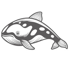 Fototapeta premium Dall's Porpoise Vector Illustration, Marine Mammal